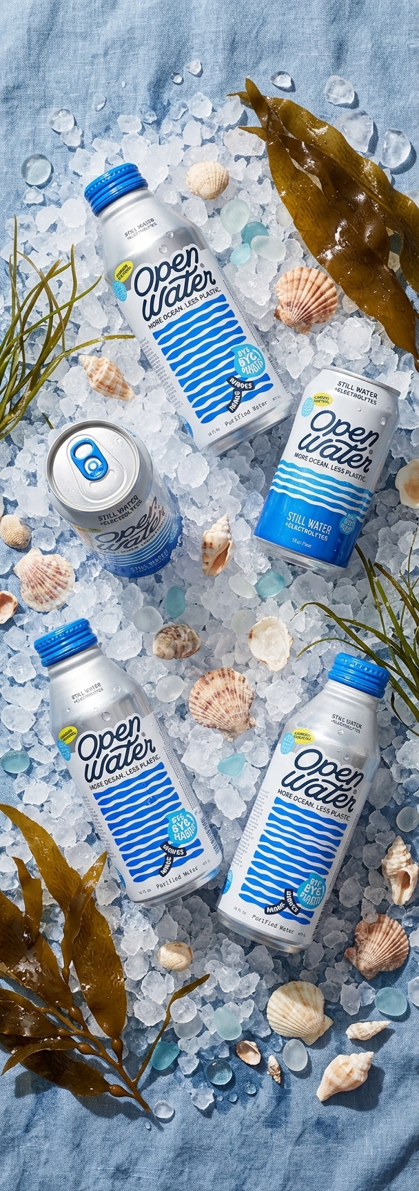 Open Water flatlay on ice with seashells